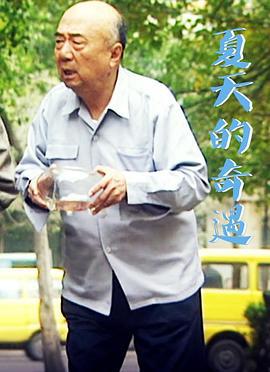 夏天的奇遇 (2001)海报