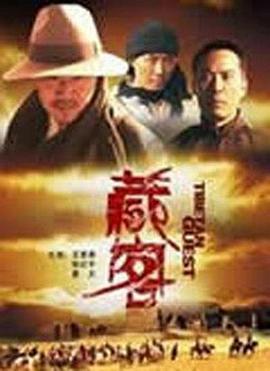 藏客 (2011)海报