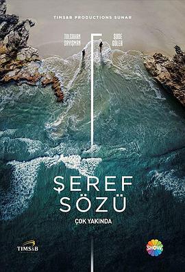 以名为誓 Şeref Sözü (2020)海报