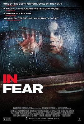 在恐惧中 In Fear (2013)海报