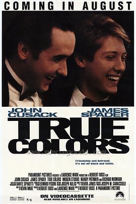 豪门恩怨 True Colors (1991)海报
