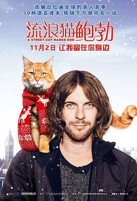 流浪猫鲍勃 A Street Cat Named Bob (2016)海报