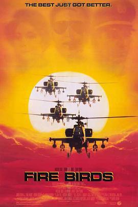 火鸟出击 Fire Birds (1990)海报