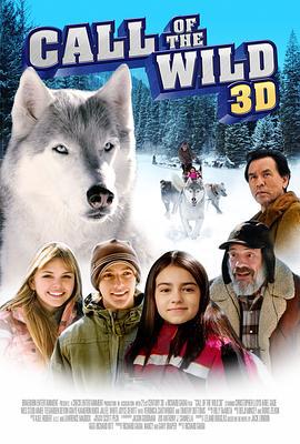 野性的呼唤 Call of the Wild (2009)海报
