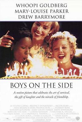 潇洒有情天 Boys on the Side (1995)海报