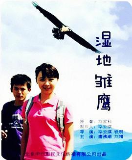 湿地雏鹰 (2011)海报