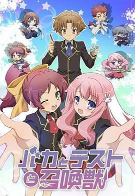 笨蛋·测验·召唤兽 バカとテストと召喚獣 (2010)海报