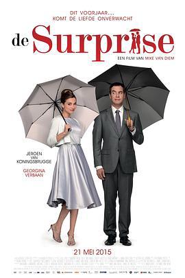 意外制造公司 De Surprise (2015)海报