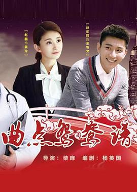 曲点鸳鸯谱 (2017)海报