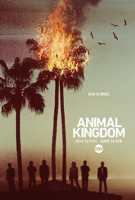 野兽家族 第一季 Animal Kingdom Season 1 (2016)海报
