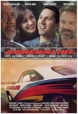 极速飞跃 Adrenaline (2015)海报