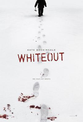 雪盲 Whiteout (2009)海报