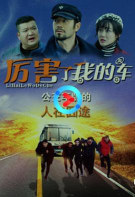 厉害了我的车 (2017)海报