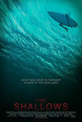 鲨滩 The Shallows (2016)海报