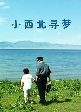 小西北寻梦 (2001)海报
