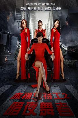 赤裸女特工2暗夜舞者 (2016)海报