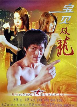 宝贝双龙 (2002)海报