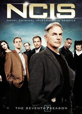 海军罪案调查处 第七季 NCIS: Naval Criminal Investigative Service Season 7 (2009)海报