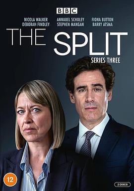 家裂 第三季 The Split Season 3 (2022)海报