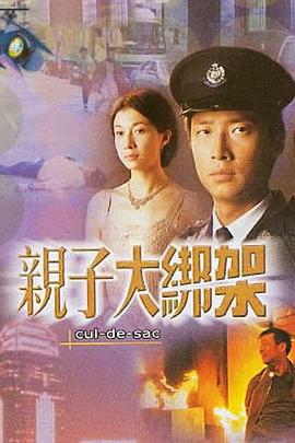 亲子大绑架 (2003)海报