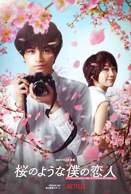 我的樱花恋人 桜のような僕の恋人 (2022)海报