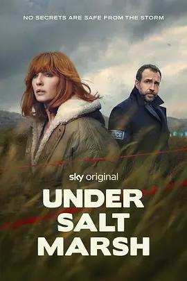 盐沼之下 Under Salt Marsh (2026)海报
