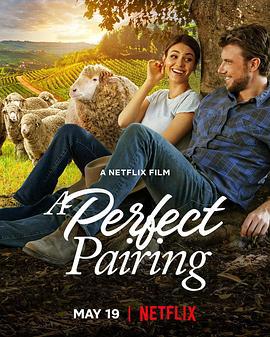 完美绝配 A Perfect Pairing (2022)海报