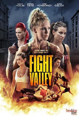 搏击谷 Fight Valley (2016)海报