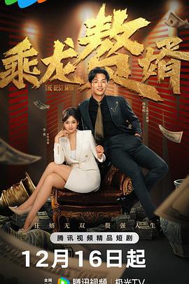 乘龙赘婿 (2024)海报