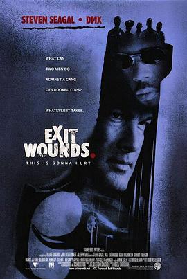 以毒攻毒 Exit Wounds (2001)海报