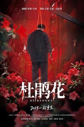 杜鹃花 (2025)海报
