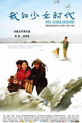 我的少女时代 (2010)海报