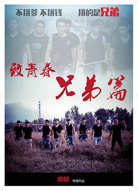 致青春兄弟篇 (2014)海报