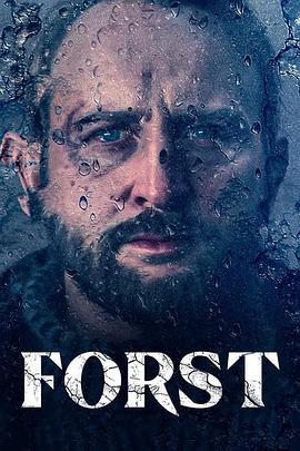 侦探福斯特 Detective Forst (2024)海报