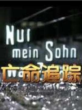 亡命追踪 Nur mein Sohn war Zeuge (2001)海报
