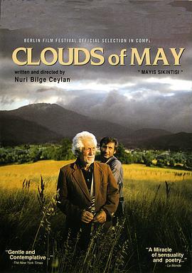 五月碧云天 Mayıs Sıkıntısı (1999)海报
