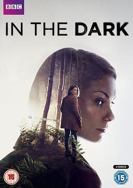 身在暗处 In The Dark (2017)海报