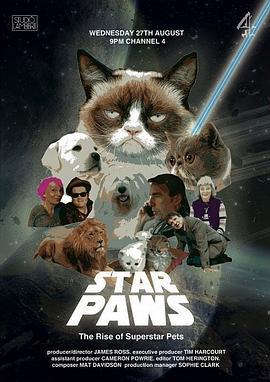 明星猫咪：明星宠物的崛起 Star Paws: The Rise of Superstar Pets (2014)海报