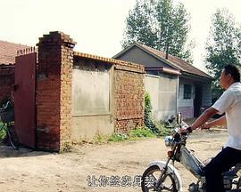 你有素质吗 (2011)海报