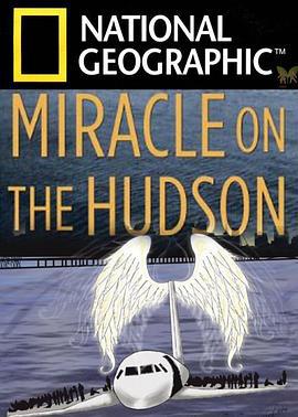 奇迹迫降哈德逊河 Miracle Landing on the Hudson (2014)海报