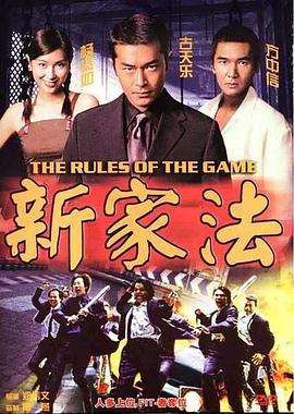 新家法 (1999)海报