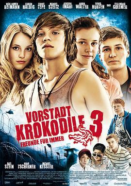 少年鳄鱼队3 Vorstadtkrokodil海报