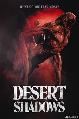沙漠阴影 Desert Shadows (2023)海报