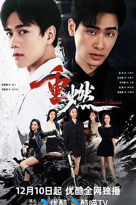 重燃 (2024)海报