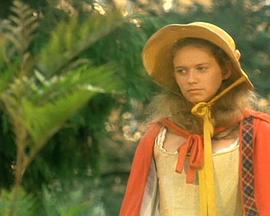 芬妮·希尔 Fanny Hill (1995)海报