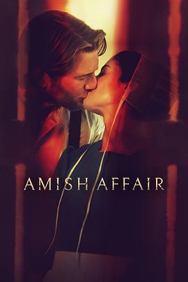 阿米什事件 Amish Affair (2024)海报