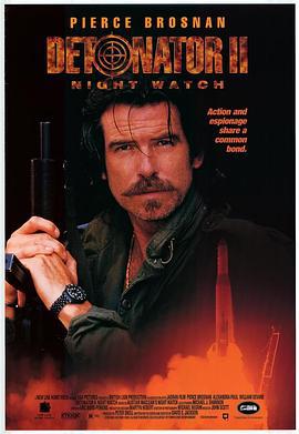 谍网雄风 Night Watch (1995)海报
