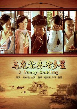 乌龙鸳鸯智多星 (2013)海报