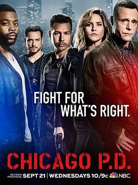 芝加哥警署 第四季 Chicago P.D. Season 4 (2016)海报