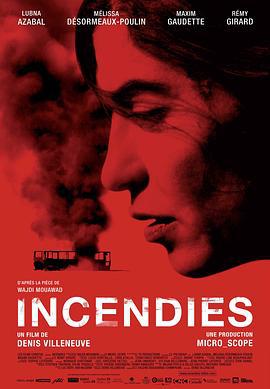 焦土之城 Incendies (2010)海报